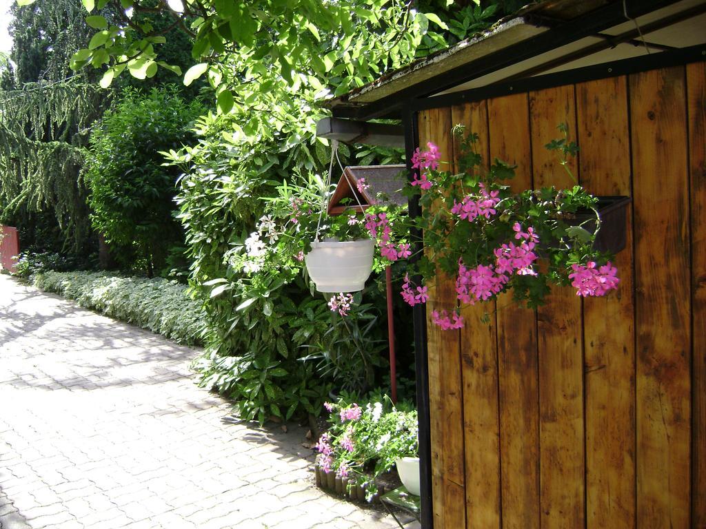 Muskatli Vendeghaz Bed and Breakfast Hévíz Esterno foto